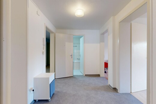 halle / korridor mit teppich, carpet, gipskartonwand, drywall, und inside property