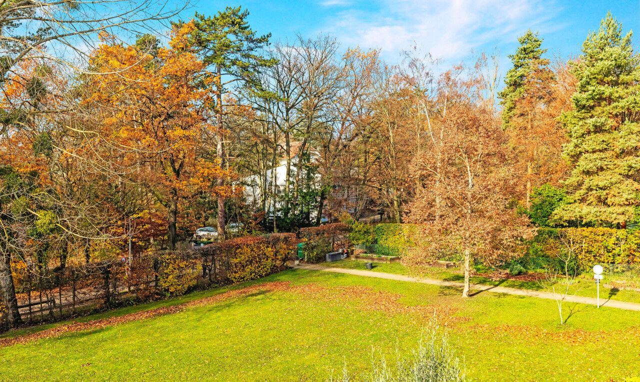 jardin avec pelouse, day time, vue sur les bois, woods view, et clôture