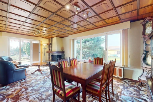 salle à manger avec lumière naturelle et cheminée