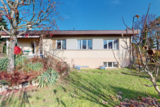 außenansicht mit rasen