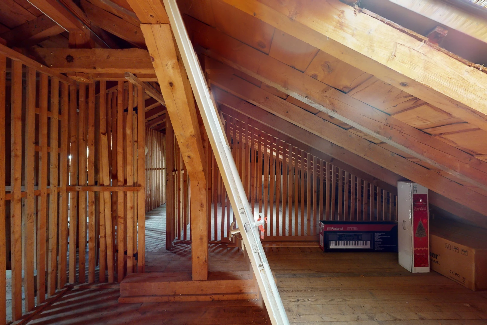 escaliers avec plancher de bois et plafond voûté