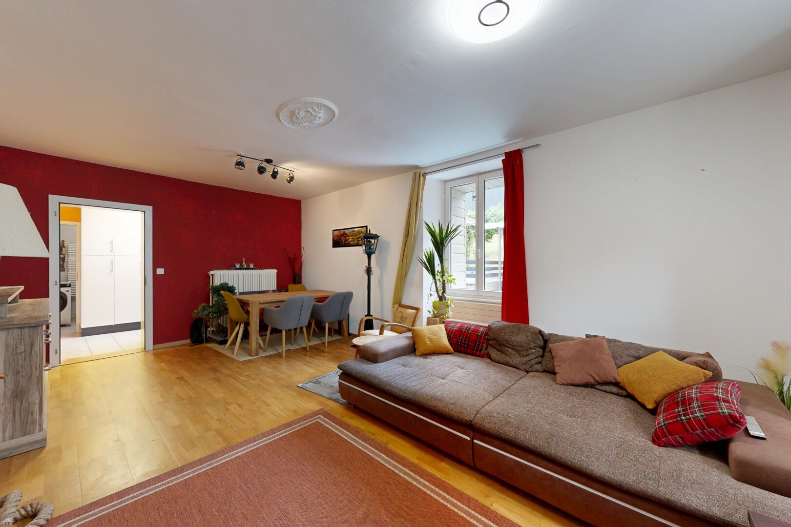 salon / salle à manger avec éclairage sur rail, drywall, cloison sèche, wood finish floor, et sol en finition bois