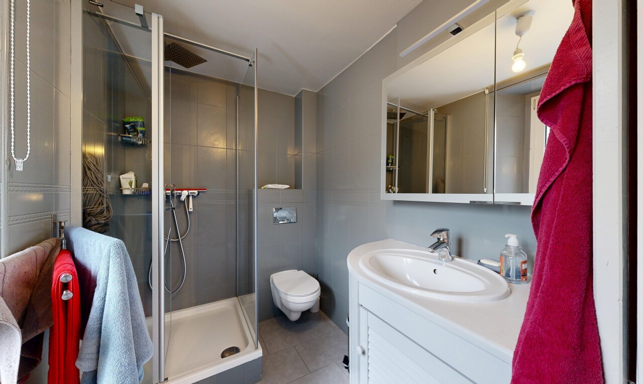 salle de bains avec douche, lavabo (ou coiffeuse selon le contexte), salle de bain complète, miroir, et évier