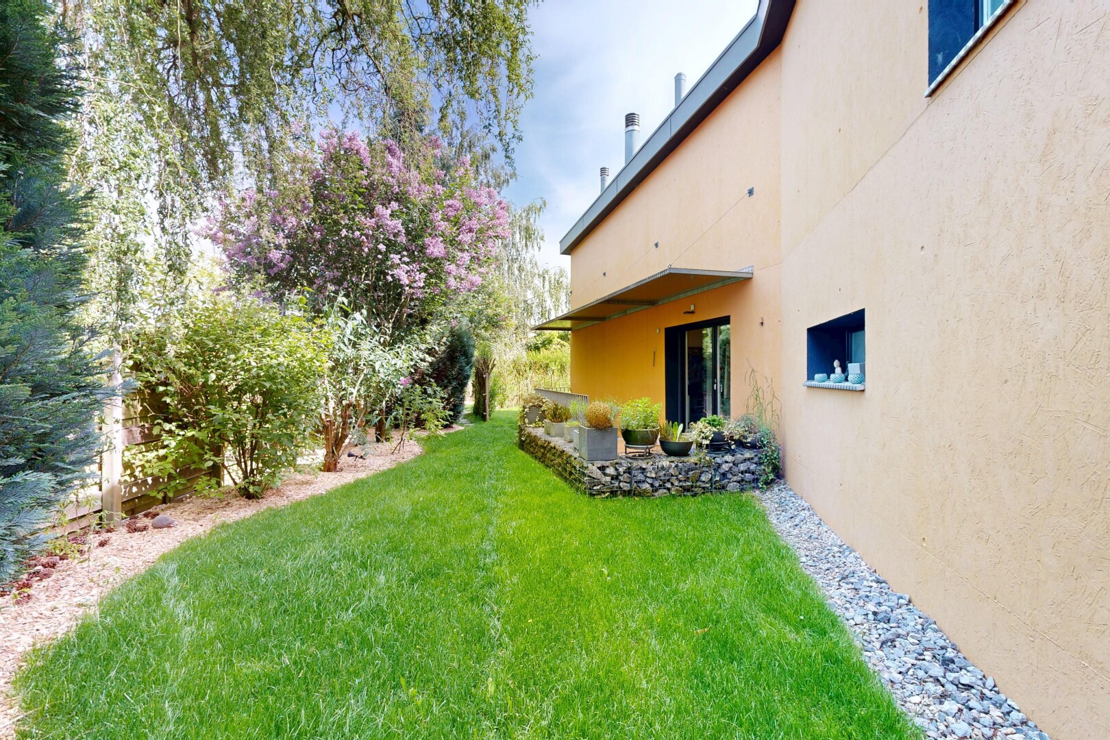 garden with a lawn