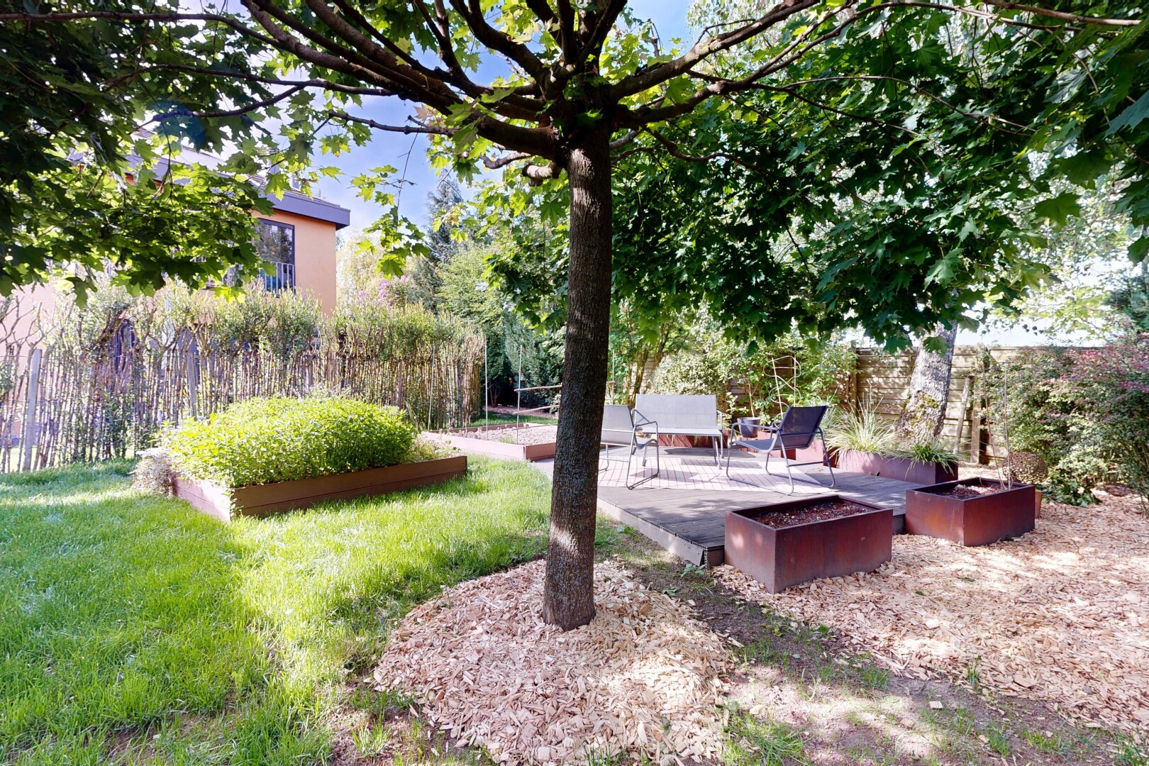 garden featuring a patio and a lawn
