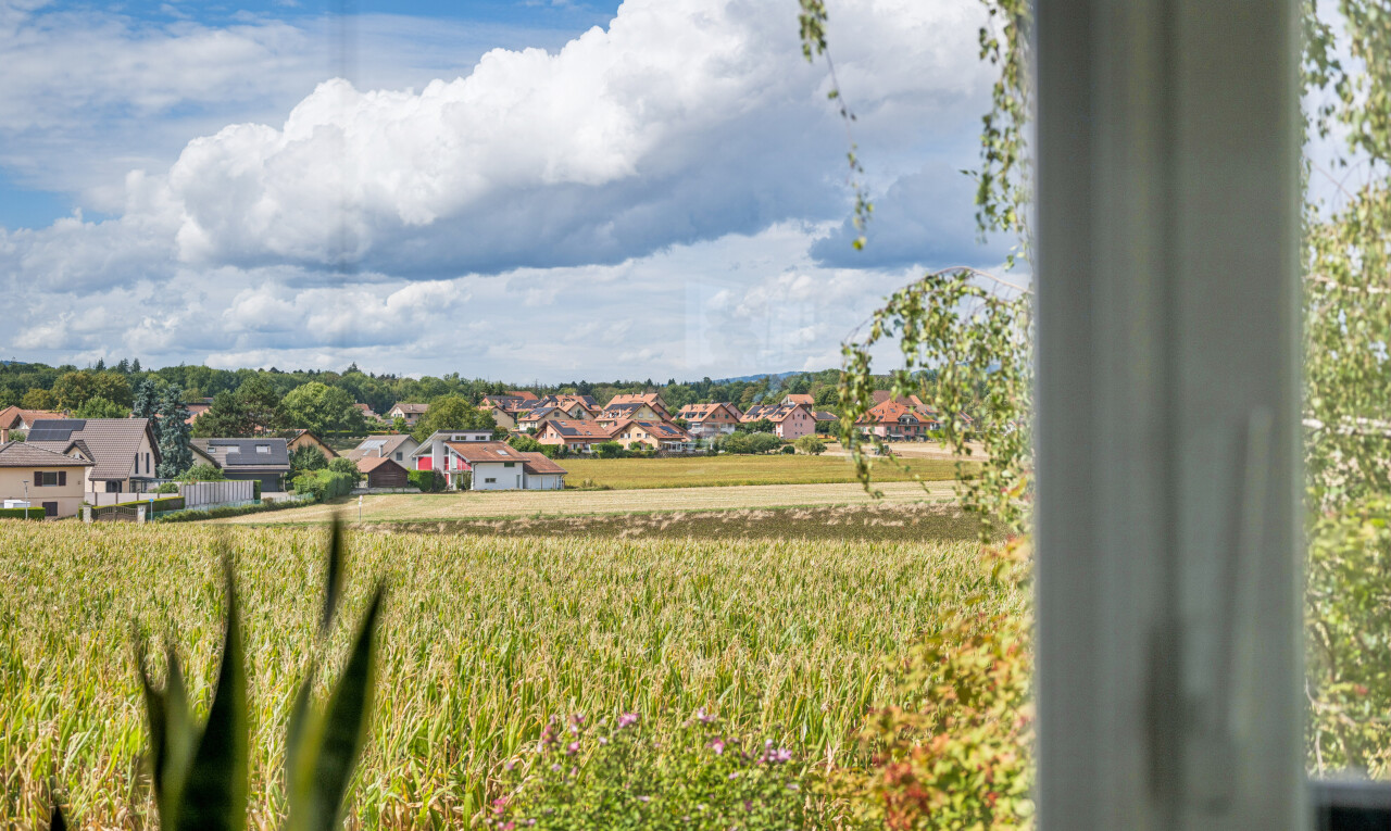 jardin avec day time, view focus, vue résidentielle, residential view, et vue sur le verger/agriculture
