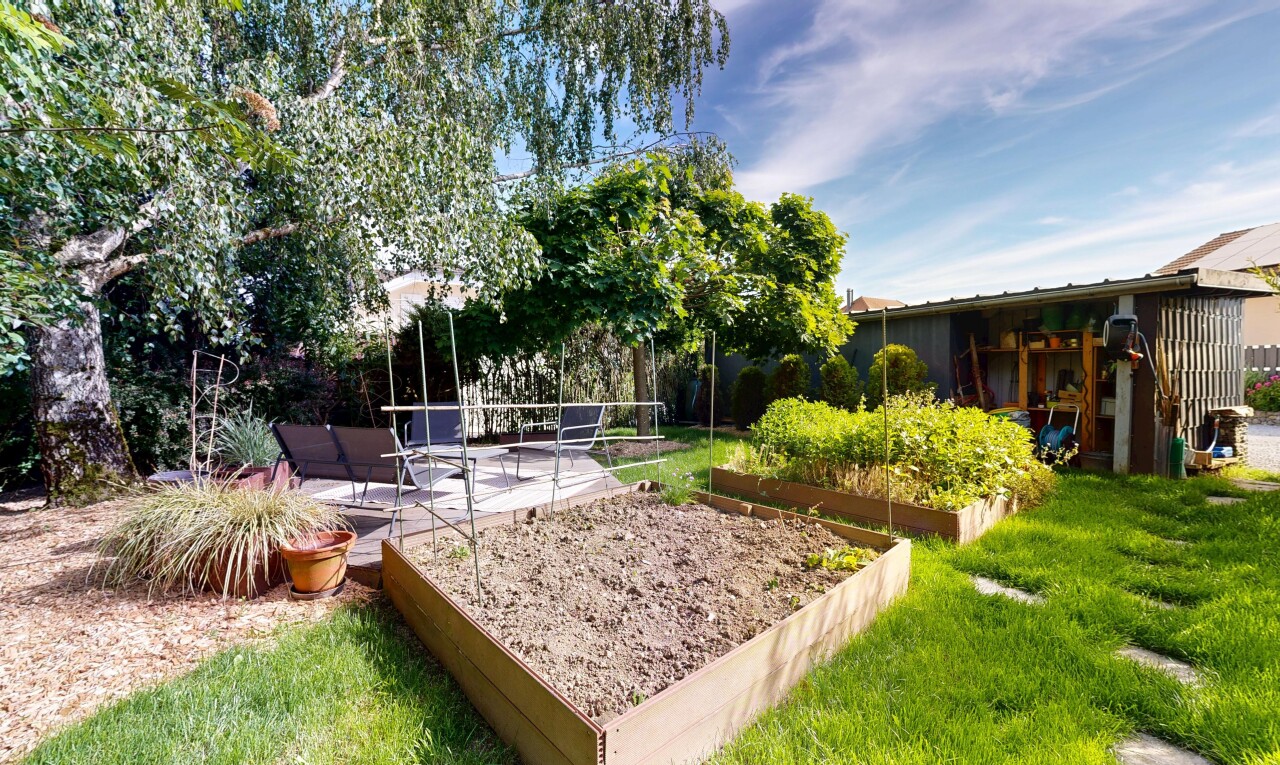 garden with a vegetable garden, a patio, and a lawn