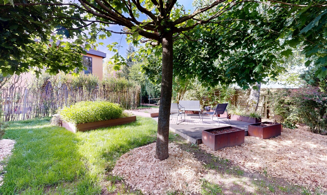 garden featuring a patio and a lawn
