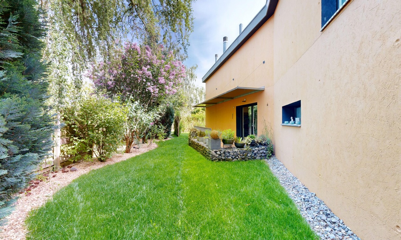 garden with a lawn