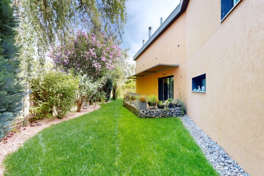 garden with a lawn