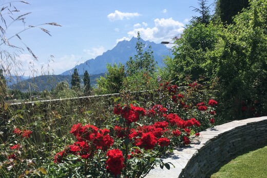 garten mit blick auf die berge