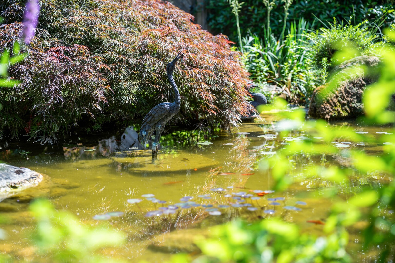 garten mit unknown