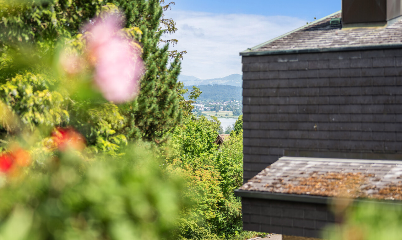 jardin avec from property, view focus, et day time