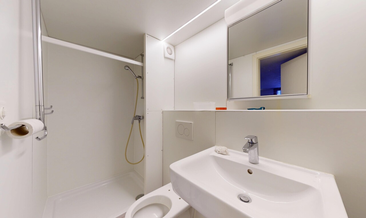 salle de bains avec salle de bain complète, douche, évier, miroir, et toilette