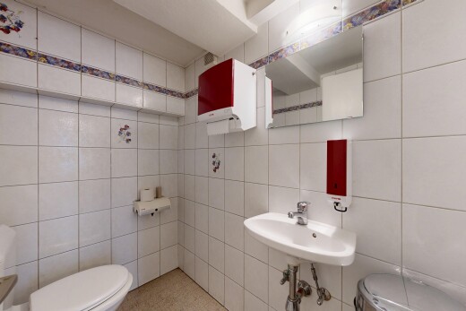 bad mit toilette, gäste-wc, inside property, spiegel, und tile wall