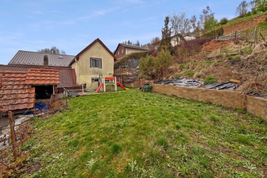 garden with a lawn