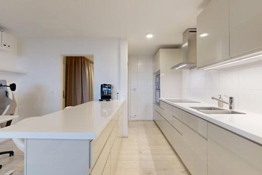 cuisine avec flat panel cabinets, armoires à panneau plat, light countertops, plans de travail, et hotte