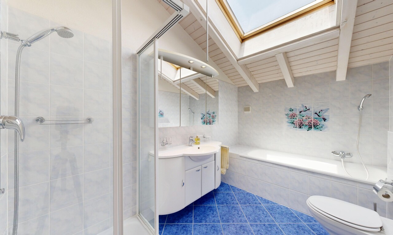 salle de bains avec douche, puits de lumière, salle de bain complète, dark floor, et lavabo (ou coiffeuse selon le contexte)