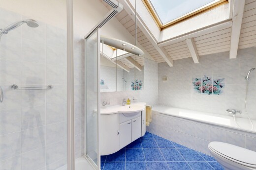 salle de bains avec douche, puits de lumière, salle de bain complète, dark floor, et lavabo (ou coiffeuse selon le contexte)