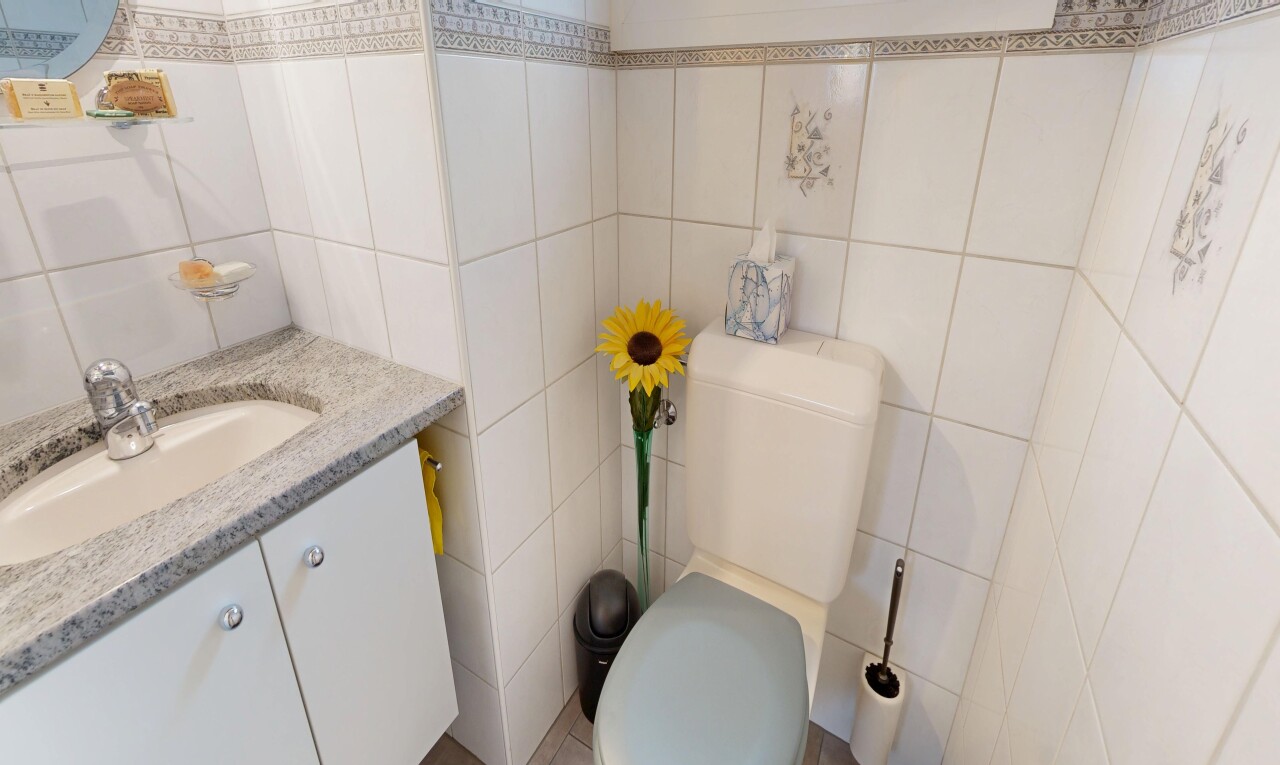 salle de bains avec toilette, mur en carrelage, tile wall, lavabo (ou coiffeuse selon le contexte), et évier