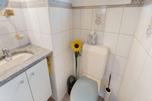 salle de bains avec toilette, mur en carrelage, tile wall, lavabo (ou coiffeuse selon le contexte), et évier