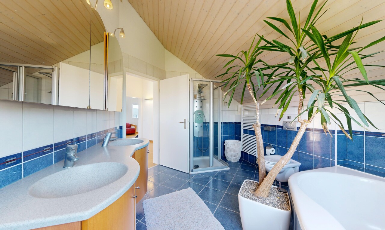 salle de bains avec salle de bain complète, évier, douche, tile wall, et mur en carrelage