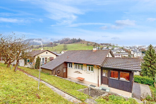 außenansicht mit schornstein, drone view, day time, ziegeldach, und vertikale verkleidung