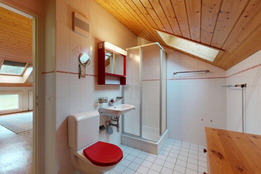 salle de bains avec puits de lumière, plafond voûté, vaulted ceiling, inside property, et mur en carrelage