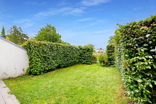 jardin avec pelouse et day time
