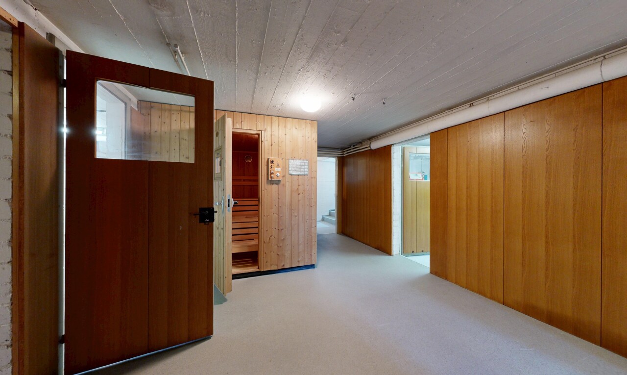 corridor featuring wood walls, a sauna / steam room, and light carpet