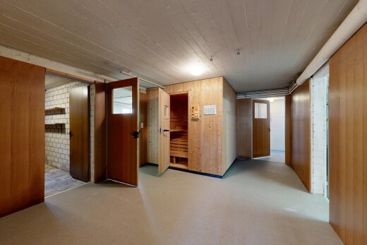 hall featuring wooden walls, a sauna, and carpet flooring