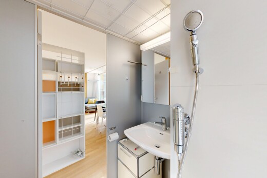 bad mit spiegel, inside property, wood finish floor, holzfußboden, und drywall