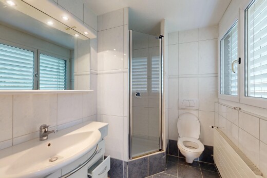 salle de bains avec mur en carrelage, tile wall, radiateur, lavabo (ou coiffeuse selon le contexte), et salle de bain complète