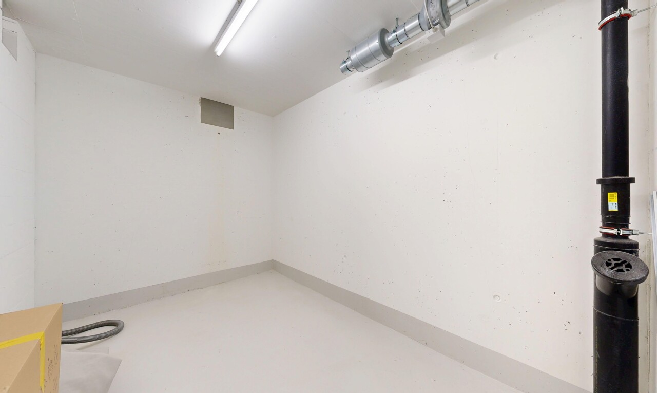 leerer raum mit concrete floor, betonboden, inside property, keller, und drywall