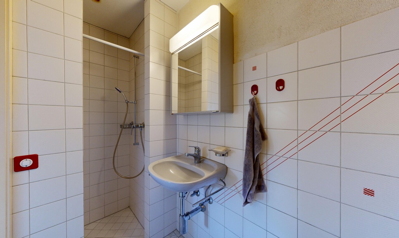 salle de bains avec mur en carrelage, tile wall, salle de bain complète, douche, et miroir