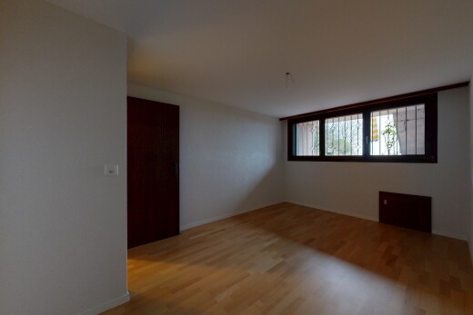 pièce vide avec lumière naturelle, natural light, sol en finition bois, wood finish floor, et cloison sèche