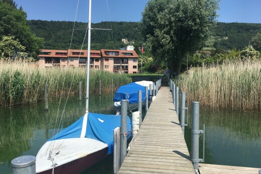 view of swimming pool with a view of trees and a dock