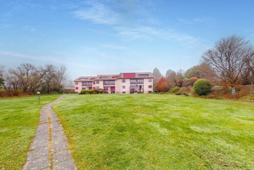 garden featuring a yard