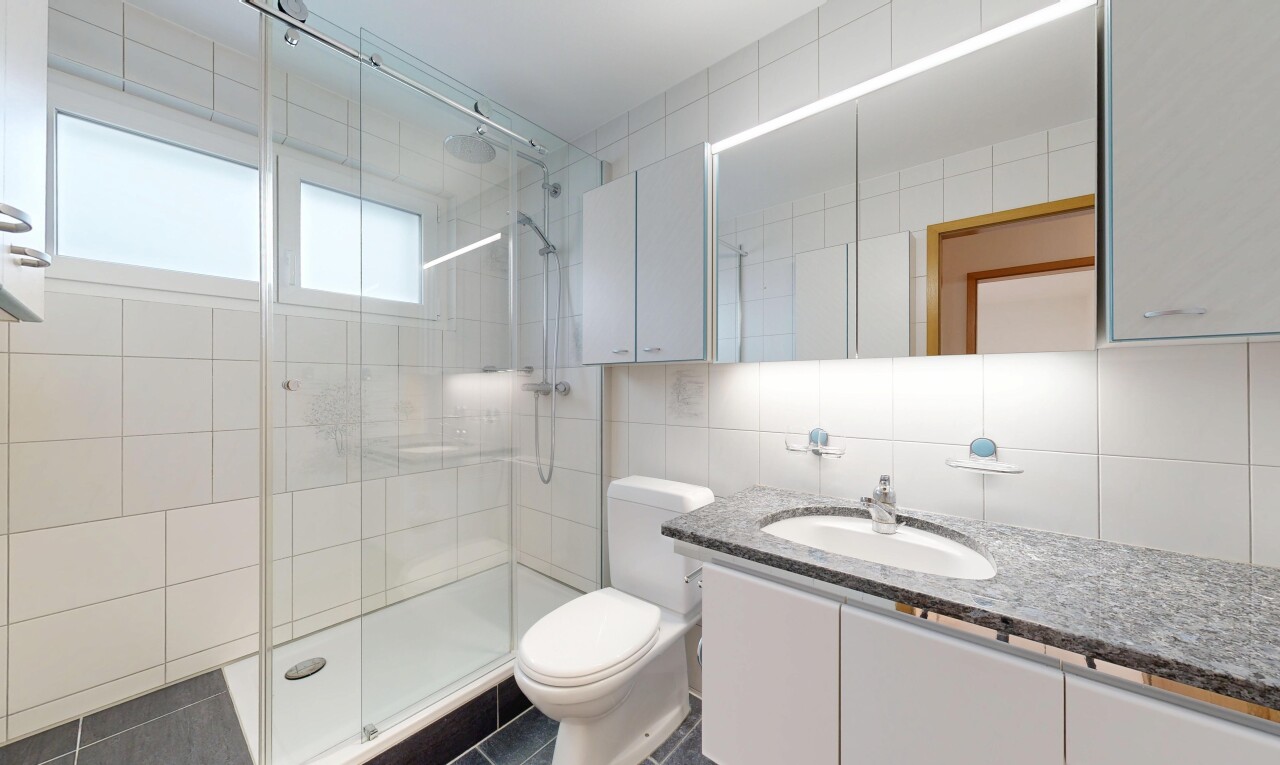salle de bains avec salle de bain complète, toilette, lavabo (ou coiffeuse selon le contexte), douche, et miroir