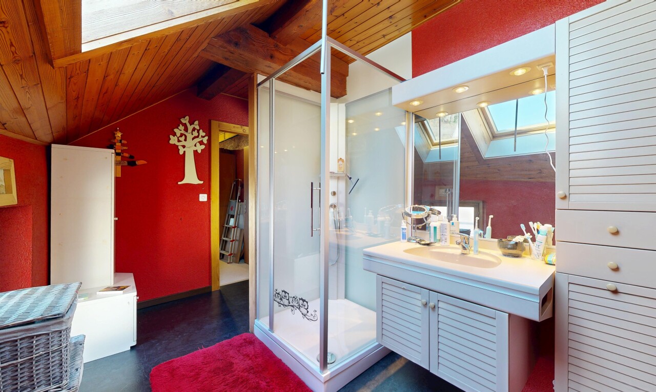 salle de bains avec puits de lumière, lavabo (ou coiffeuse selon le contexte), inside property, douche, et miroir