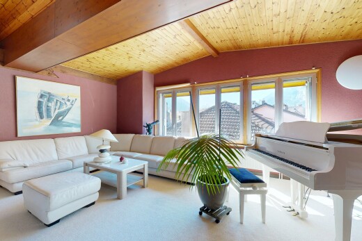 salon avec plafond voûté, vaulted ceiling, plafond à poutres, beamed ceiling, et lumière naturelle