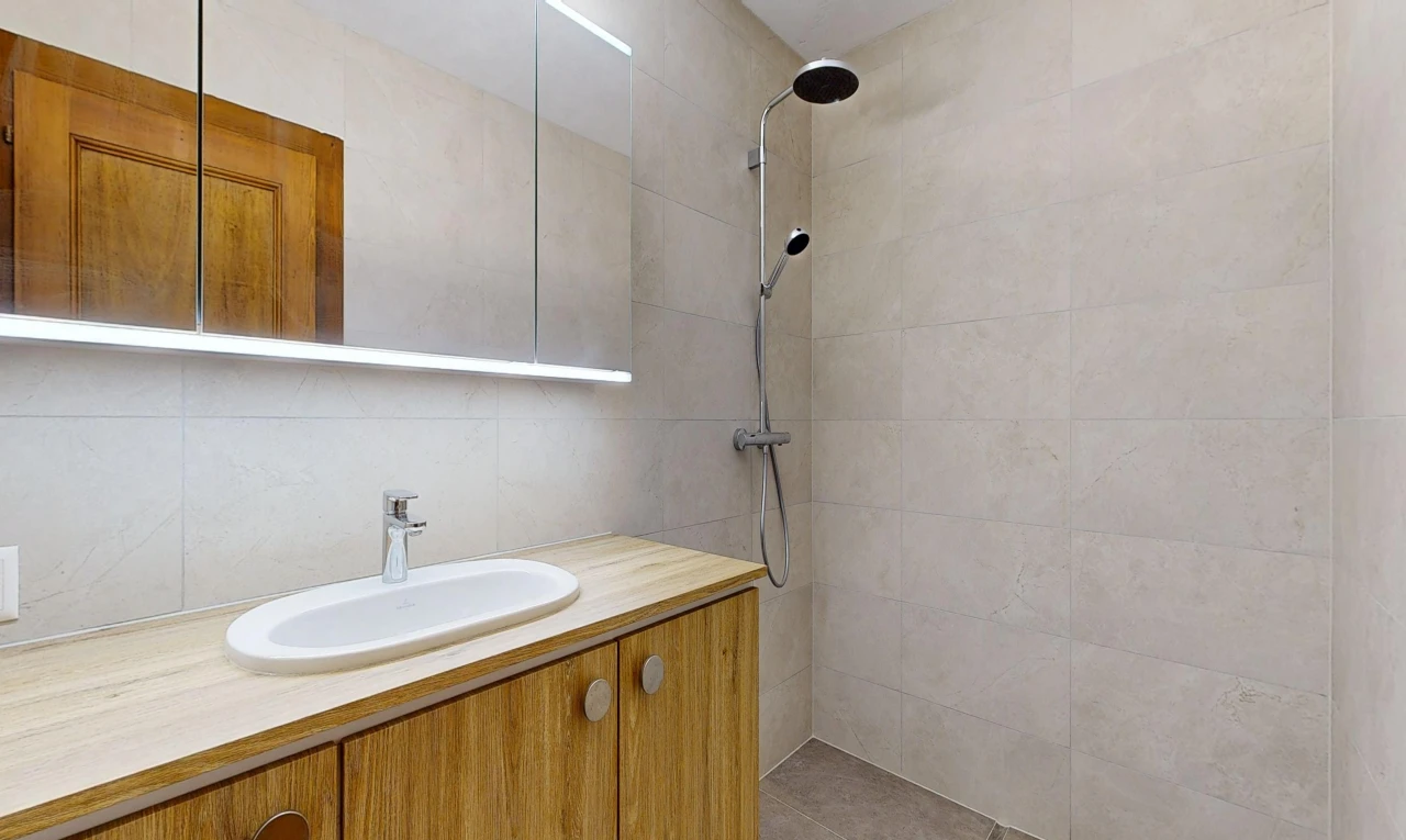salle de bains avec douche, miroir, évier, lavabo (ou coiffeuse selon le contexte), et salle de bain complète