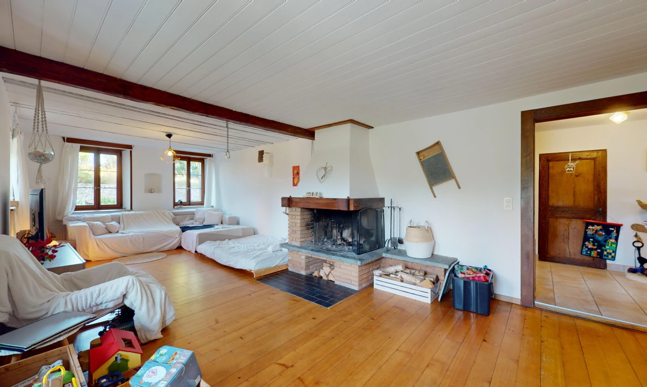 salon avec cheminée, inside property, sol en finition bois, wood finish floor, et lumière naturelle