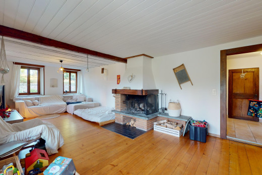 salon avec cheminée, inside property, sol en finition bois, wood finish floor, et lumière naturelle