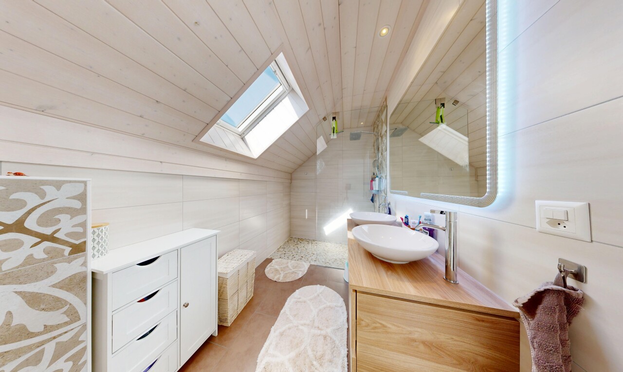 salle de bains avec puits de lumière, douche, salle de bain complète, miroir, et évier