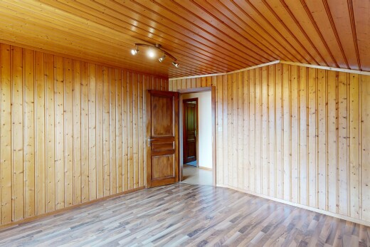 leerer raum mit deckenbeleuchtung, wood wall, holzwand, wood finish floor, und holzfußboden