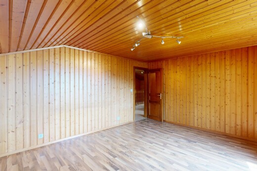 leerer raum mit deckenbeleuchtung, holzwand, wood wall, holzfußboden, und wood finish floor