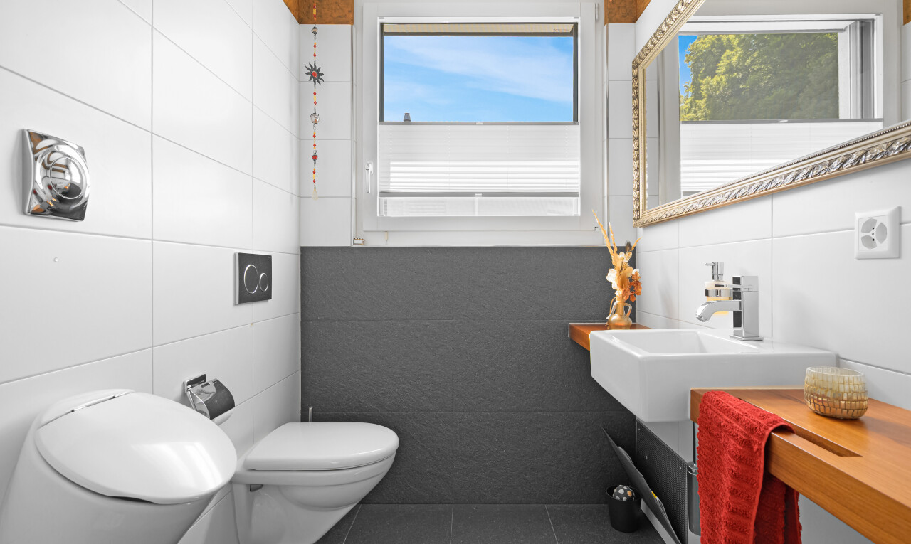 bad mit gäste-wc, natural light, natürliches licht, toilette, und spiegel