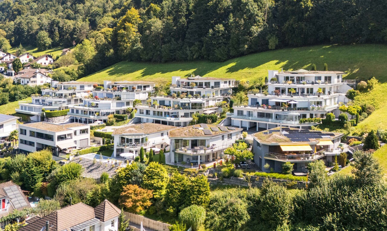 außenansicht mit forest view, waldblick, aerial view, und rasen