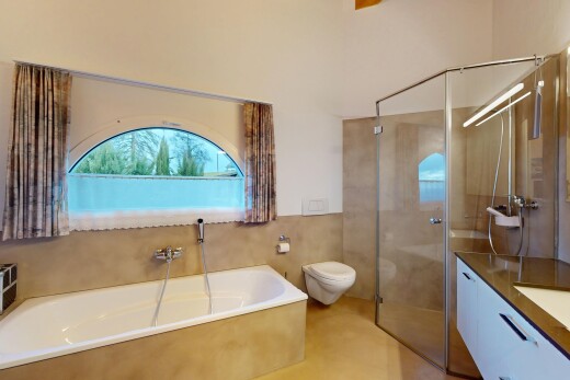 bad mit toilette, schminktisch, dusche, natürliches licht, und bad